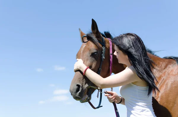 Mulher tocando seu cavalo — Fotografia de Stock