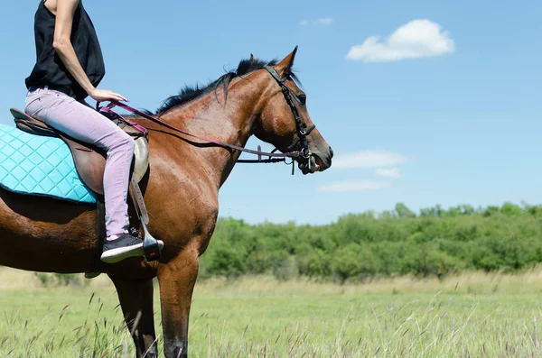 Mulher montar um cavalo baía — Fotografia de Stock