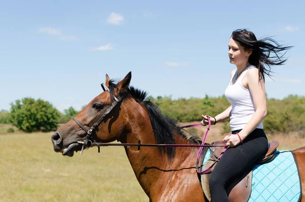 Mulher atraente cavalo de equitação — Fotografia de Stock