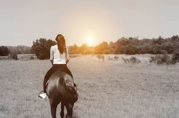 Visão traseira da mulher cavalo livrando no por do sol — Fotografia de Stock