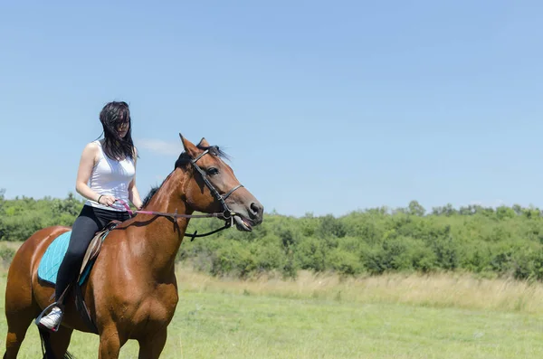 Mulher jockey treinar o cavalo em campo — Fotografia de Stock