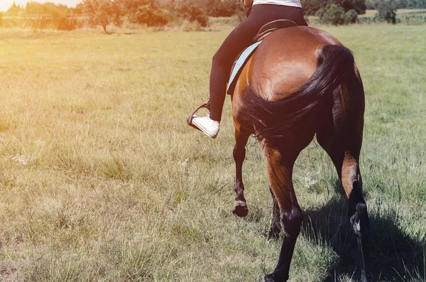 Mulher de volta cowgirl montando um cavalo — Fotografia de Stock