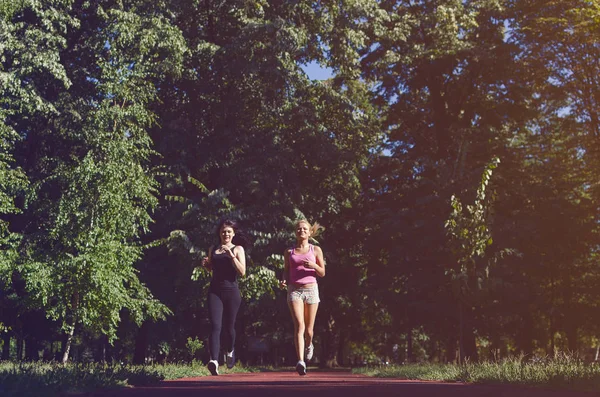 Zwei Glückliche Und Gesunde Frauen Joggen Grünen Park Sportliches Lifestylekonzept — Stockfoto