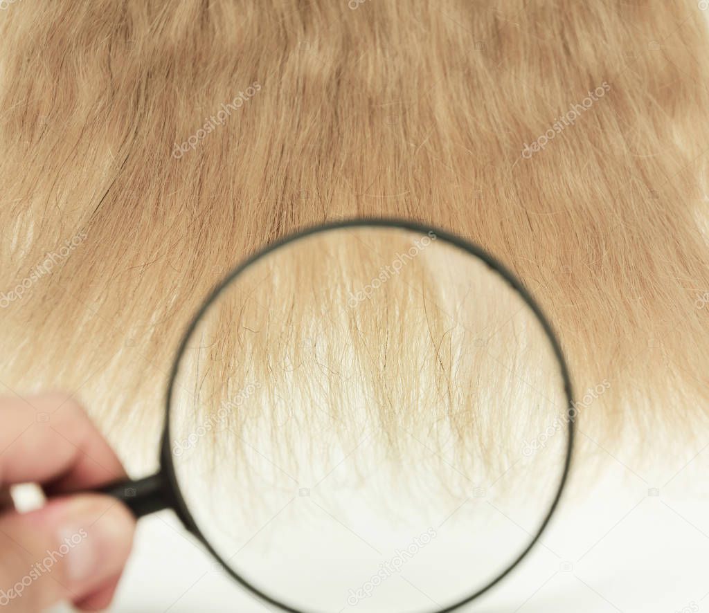 Bad and damaged hair through magnifying glass.