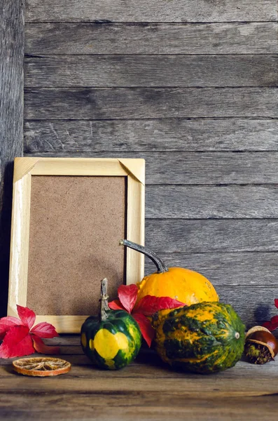 Autumn background with colored leaves and mini pumpkin with frame for photo.