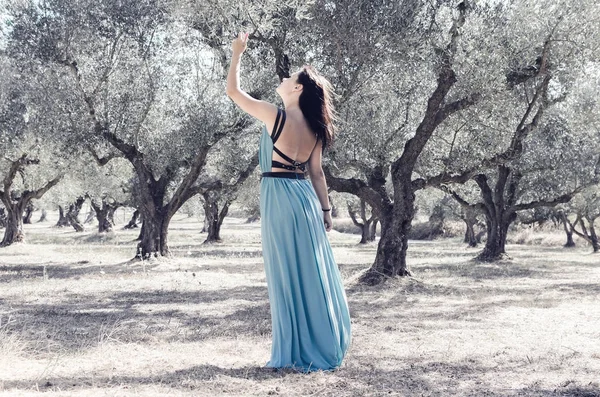 Femeie în rochie frumoasă cules măsline — Fotografie, imagine de stoc