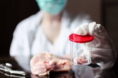 Laboratuvar Petri kabına bütün et örnek. Kültürlü laboratuvar et veya et muayene kavramı.