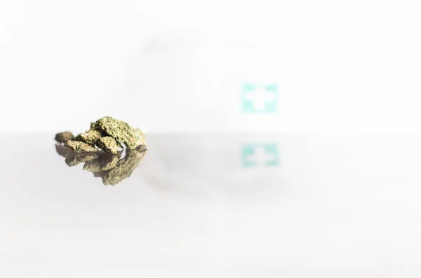 Närbild Cannabis Marijuana Sativa Huvuden — Stockfoto