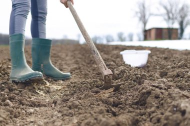 Karık arası çapa ve bir bahar güneşli gün boyunca verimli toprak tilling alanlarında çalışan kadın çiftçi
