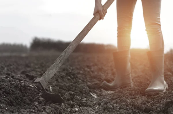 Vrouw Boer Werken Velden Schoffelen Bewerken Van Vruchtbare Bodem Tijdens — Stockfoto