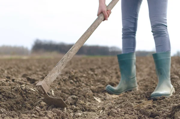 Agricultrice Travaillant Dans Les Champs Binant Labourant Sol Fertile Pendant — Photo