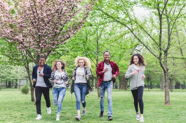 Group of diverse people walking and speaking in park