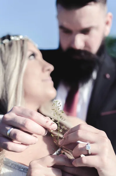 Mãos Femininas Masculinas Pulando Folhas Flor Selvagem Dia Casamento — Fotografia de Stock