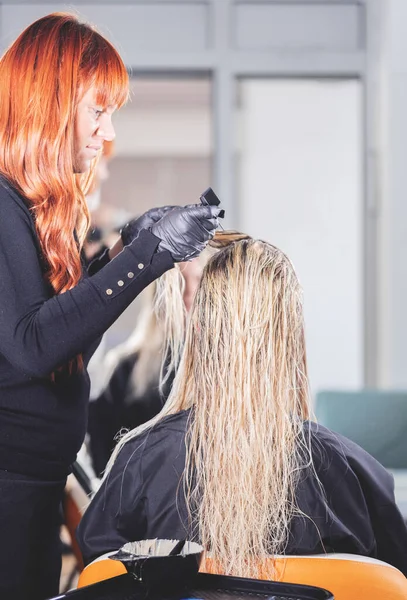 Professional Hairdresser Dyeing Hair Her Client Who Sitting Back View — стоковое фото