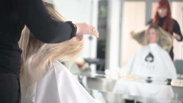 Hairdresser Drying Long Blonde Hair New Modern Hair Dryer Salon — Video