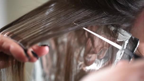 Secado Peluquería Pelo Largo Rubio Con Nuevo Secador Pelo Moderno — Vídeos de Stock