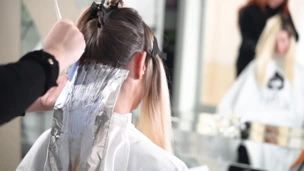 Hairdresser Drying Long Blonde Hair New Modern Hair Dryer Salon — Video