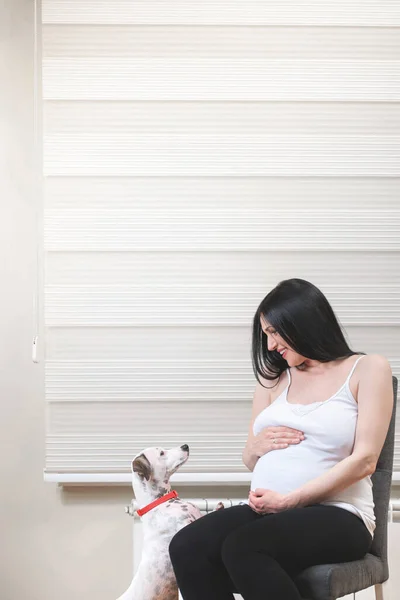 Όμορφη Έγκυος Γυναίκα Χαριτωμένο Σκυλί Στο Σπίτι Εικόνα Χώρο Αντιγραφής — Φωτογραφία Αρχείου