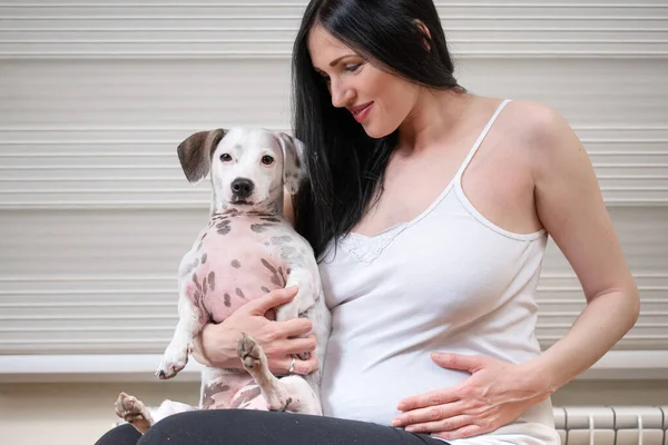 Imagen Cerca Hermosa Mujer Embarazada Con Lindo Perro Casa —  Fotos de Stock