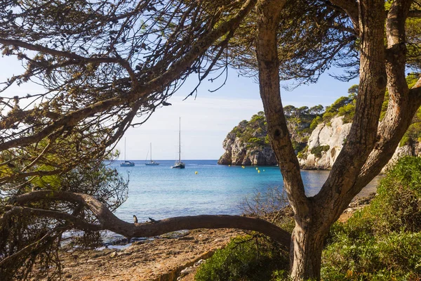 Macarella praia vista entre as árvores em uma manhã ensolarada, Minorca — Fotografia de Stock