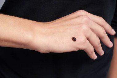 Küçük uğur böceği bir kızın elinde sürünüyor. Küçük böcekler insan vücudunda sürünür. Zararlı böcek..