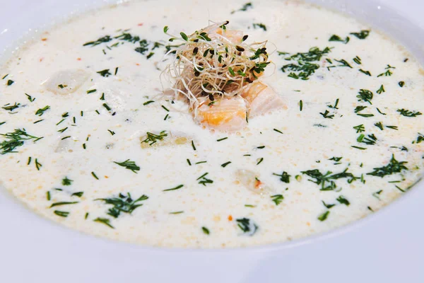 Healthy white cheese soup with salmon and microgreen seeds. Decorated with greenery. First course in the white plate. Closeup. — Stock Image Healthy White Cheese Soup Salmon Microgreen Seeds Decorated Greenery First Royalty Free Stock Photos