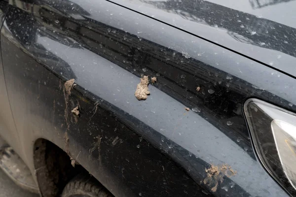 Dirty black car in the city on the parking. Dirt stains on the vehicle. Car in mud after off road. Closeup.