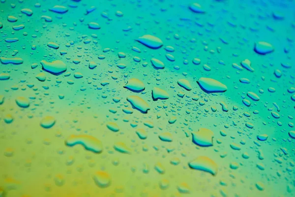 Gotas Agua Superficie Holográfica Del Camaleón Hermoso Fondo Colorido Con — Foto de Stock