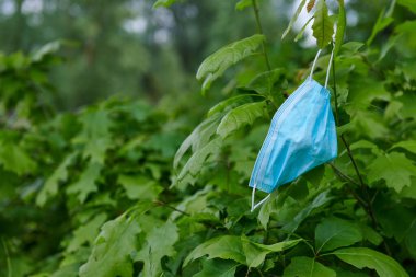 Mavi yüz maskesi yeşil çalılıkta sallanıyor. Çevre kirliliği konsepti fotoğrafı. Salgın koronavirüs sorunları. Kopyalama alanı ile yakınlaş.