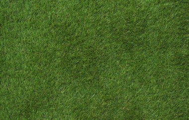 taze yaz yeşil çimen, arka plan, doku 