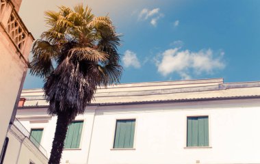 bir güzel yaz city, güneşli bir gün tatil yer göster