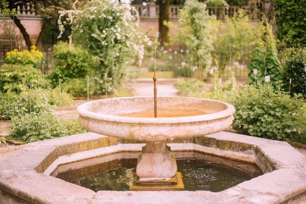 Old traditional garden with pathways and fountain