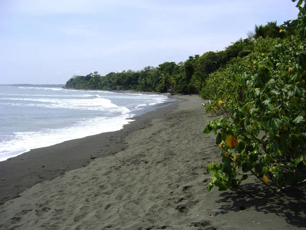 Strand van nationaal park corcovado schiereiland osa Midden-Amerika costa rica — Stockfoto