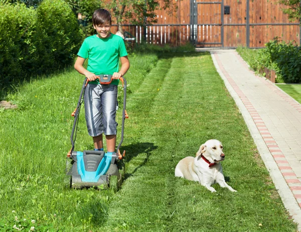 Мальчик проталкивает газонокосилку через двор - в сопровождении своей работы — стоковое фото