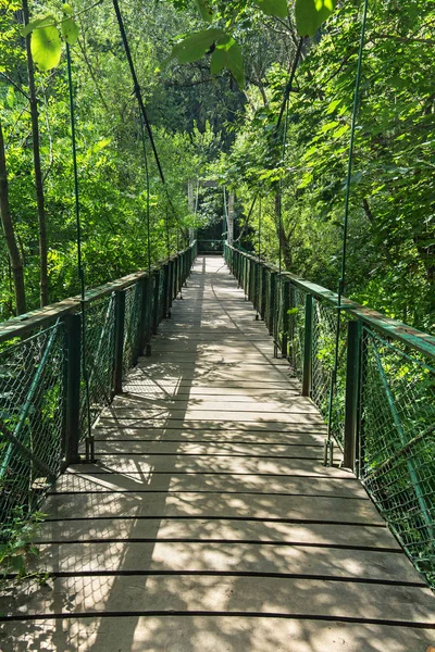 Köprü içine yeşil