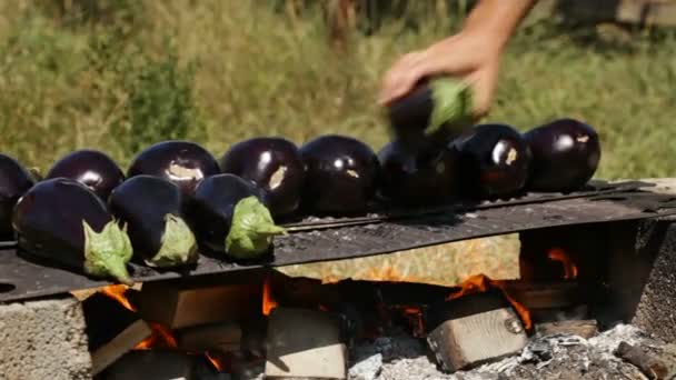 Close Male Hand Placing Eggplants Baking Plate Fire Green Grass — Stock Video