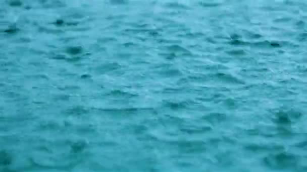 Дощі Поверхні Води Під Сильним Дощем — стокове відео