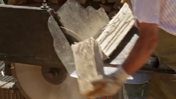 Side View Male Workers Cutting Firewood Logs Circular Saw — Stock Video