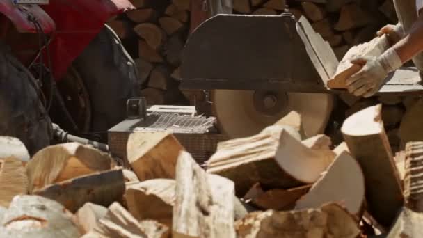 Close Van Beweging Langs Voor Mannelijke Werknemers Snijden Brandhout Logboeken — Stockvideo