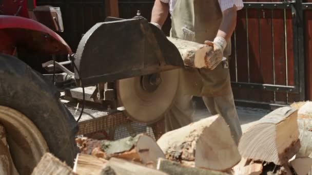 Zblízka Upoutala Řezání Dříví Protokoly Kotoučovou Pilou — Stock video