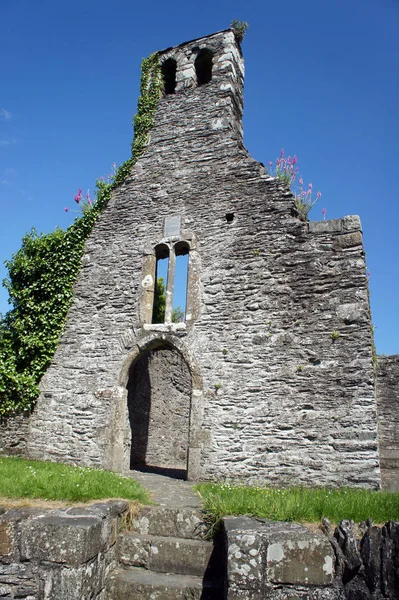 Irlanda Ruinas Iglesia Cristiana Primitiva Abadía Mellifont — Foto de Stock