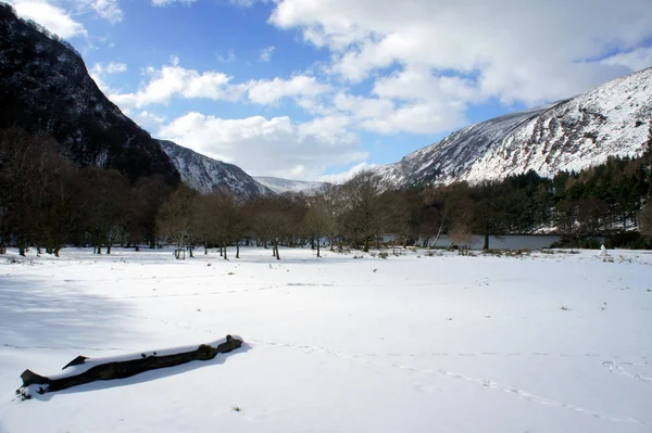 Repente Cayó Nieve Spring Las Montañas Wicklow Irlanda —  Fotos de Stock