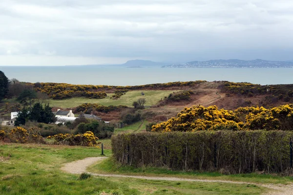 İrlanda Denizi kıyısında bahar.
