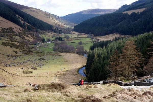 Irlande Spring Dans Les Monts Wicklow — Photo