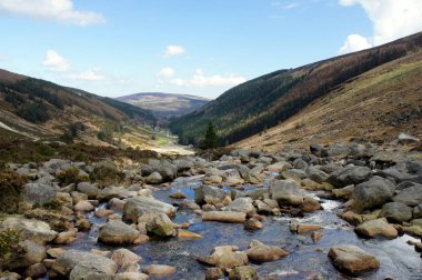 Dağ nehir Glendasan.Wicklow Mountains.Ireland.