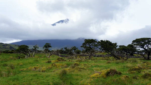 Escondido Las Nubes Pico Del Volcán Pico Isla Del Mismo — Foto de Stock