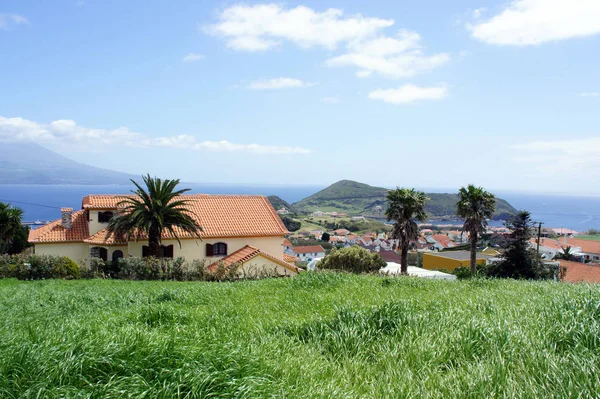 Faial Adası manzarasına Azores.Rural.