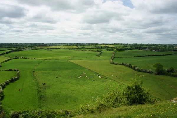 İrlanda'nın kırsal kez bakıldı.