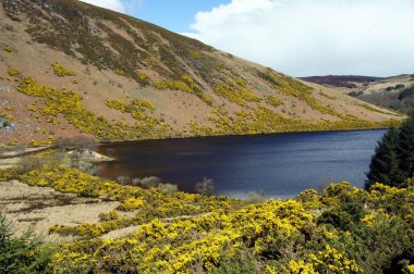 Wicklow Mountains.Lough Dan Ireland.Spring.