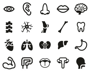 İnsan Anatomisi veya İnsan Vücut Parçaları Simgesi Siyah & Beyaz Küme Büyük
